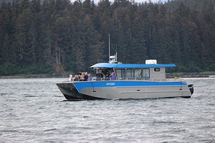 Wonderful Whales and Wildlife Tour - Photo 1 of 5